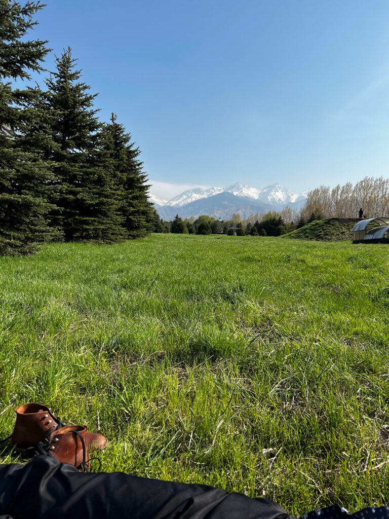 Hiking boots sit in the foreground against a green meadow with snow-capped mountains in the background.